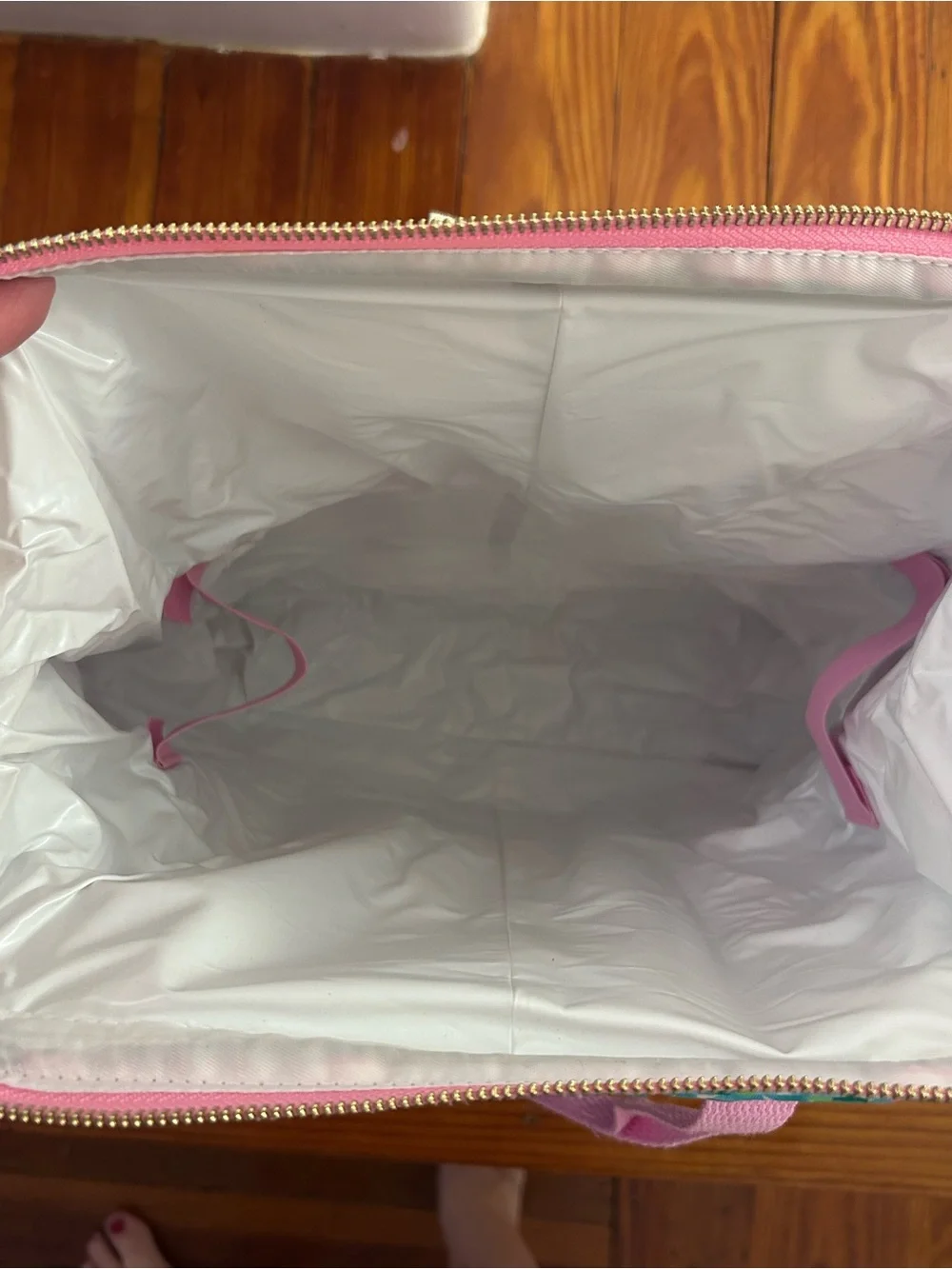 Lilly Pulitzer Insulated Backpack Cooler ‘Best Fishes’ Pink Convertible